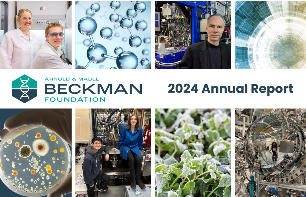 2024 annual report
