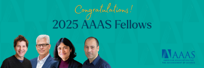 2025 AAAS Fellows