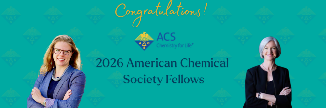 ACS Fellows