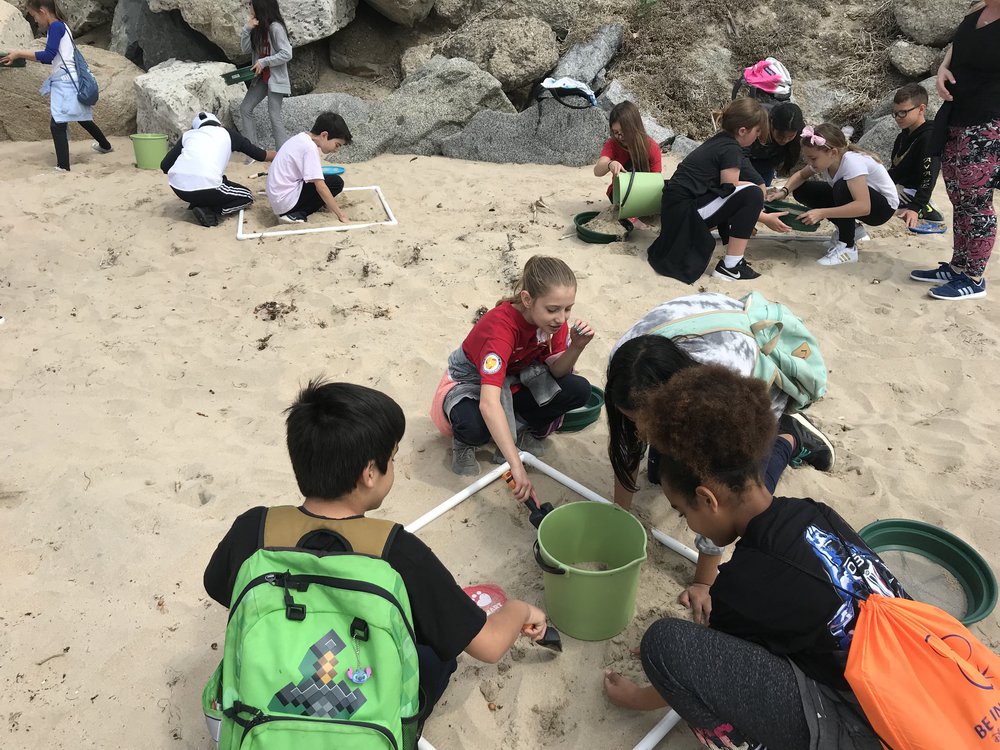 Crystal Cove 1.jpg
