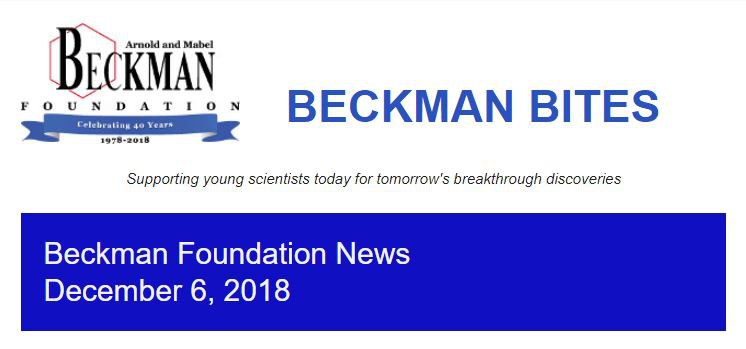 December Newsletter.JPG