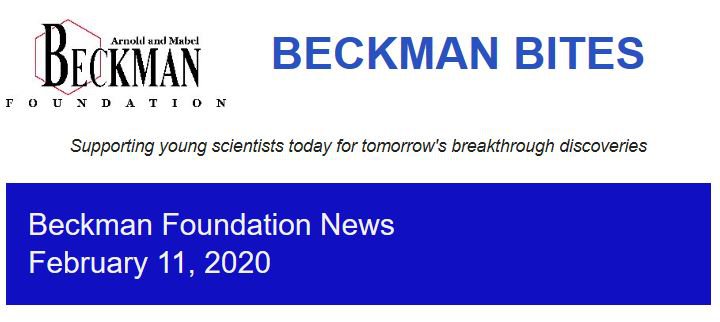 Feb Masthead.JPG