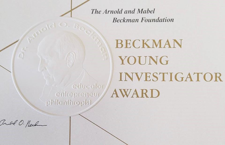 byi award certificate.jpg